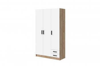 Шкаф 1200 мм Эконом без зеркала (Зарон) в Берёзовском - beryozovskij.mebel-e96.ru