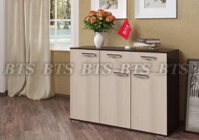 Комод Стандарт 4 NEW (БТС) в Берёзовском - beryozovskij.mebel-e96.ru