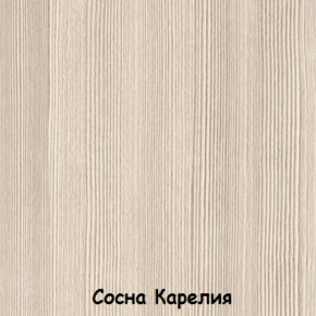 Шкаф 500 мм ДМ-03 Серия 2 (СВ) в Берёзовском - beryozovskij.mebel-e96.ru