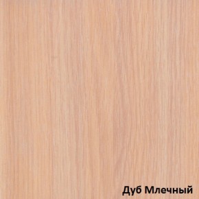 Шкаф-купе Рио 1-600 Амели (полки справа) в Берёзовском - beryozovskij.mebel-e96.ru